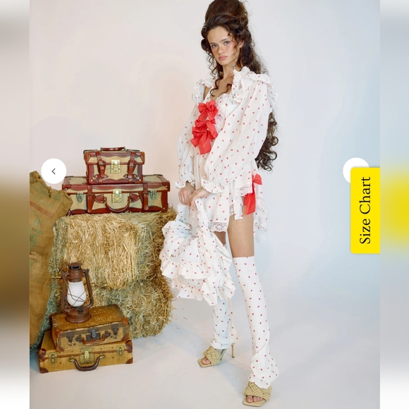 Selkie La Fraise Cake Shop Dress W/Shrug - Picture 7 of 16